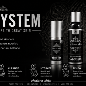The System - Image 2