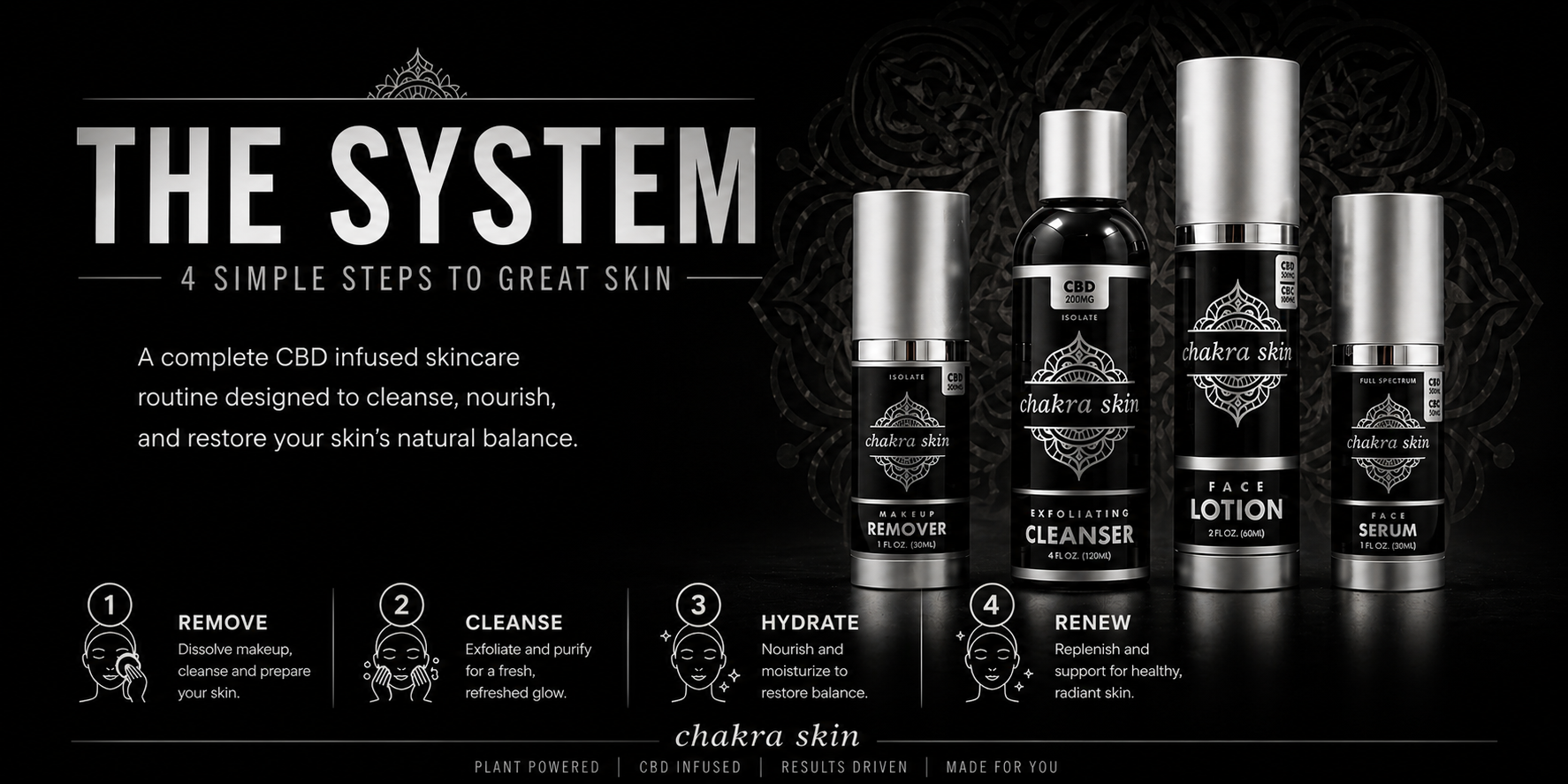 The System - Image 2